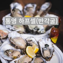 통영 생굴 석화 하프셀 굴 반각굴 삼배체 각굴 당일생산, 100미 내외