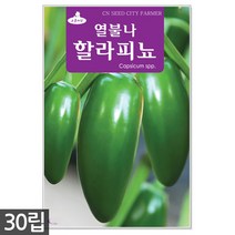 할라피뇨 30립 - 고추씨앗 씨앗 씨 고추씨 멕시코고추 매운고추씨, 07_청농_할라피뇨(50립)