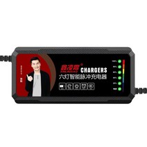 자동차 배터리 충전기 소형 밧데리재생기 오토바이, 60V20AH, 1개