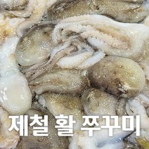 [제철별미] 산지직송 서해안 국내산 100% 활쭈꾸미 1kg, 5kg