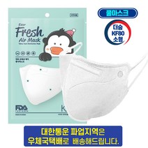 더숨 kf80 소형 어린이용 새부리형 쿨링감소재 귀통증없는 특수밴드 에버프레쉬 보건용마스크 1매입 개별포장, 1개, 50매, 화이트
