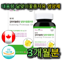 대용량 캐나다 달맞이 꽃 종자유 180캡슐 3개월분 혈행 콜레스테롤 개선 혈당 감소 관절 염 당뇨 생리 전 증후군 예방 피부 노화 아토피 면역력 도움 부모님 중년 여성 여자, 180캡슐 (3개월분)