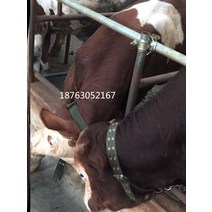 승마 로프 말 리드줄 LED 마방굴레 재갈 소와 양 칼라 꼰 소 고삐 수도꼭지 휘장, 두꺼운 칼라 L사이즈 800-1600