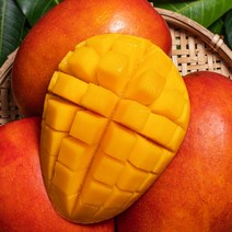 영화농산 영화청과 특급 애플망고 1kg 제주 선물 제철 가격 브라질 페루, 갈색, 상세페이지 별도표기