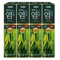 2080 해죽순 담은 염치약 플러스, 100g, 4개