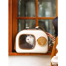리릭테일 강아지유모차 퍼피웨건 소형견 애견, B