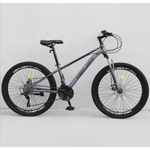 ( MTB 산악자전거 ) 26인치 입문용 크로스컨트리 자전거 21/24단, 21단, 스포크 휠 - 회색 (프론트샥)