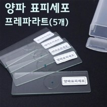 양파 표피세포 프레파라트 현미경 관찰 준비물 과학 수업 도구 연구 교구 실험 방과후 돌봄 탐구