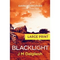 Blacklight Paperback, Hamilton Press Limited, English, 9781800801677
