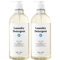 웨일리 홈드라이 고농축 중성 세탁세제 1000ml (펌프포함), 2개