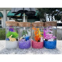 마리모키우기 국산 DIY 유리어항, 화이트, 요트, 파랑