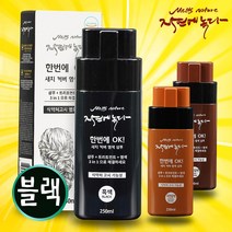 한방에 샴푸염모제 자연에 녹다 새치 커버 염색약, 구성01 (블랙 2통)