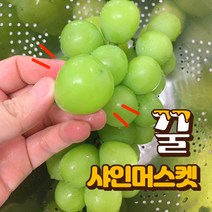 프리미엄 고당도 샤인머스켓 포도 2kg(3-4수) 샤인머스켓선물세트 망고포도 추석샤인머스켓선물 세트, 실속형 샤인머스켓2kg(3-4수)