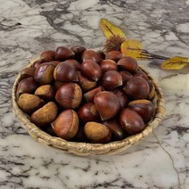 23년 햇밤 공주밤 공주알밤 공주맛밤, 공주햇밤 3KG(대/개당 16-24G), 1개