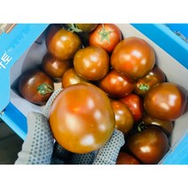 (가락시장까망콩)신선하고 맛있는 흑토마토 2kg