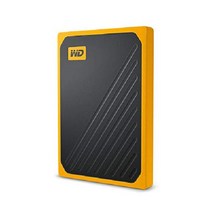 웨스턴 디지털 1TB 마이 패스포트 고 SSD 코발트 BMCG0010BBT-WESN, 500GB, 앰버