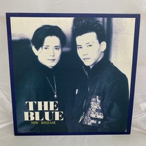 더블루 THE BLUE 손지창 김민종 LP / 엘피 / 음반 / 레코드 / 레트로 / E919