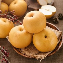초록자연 신고 배 15kg(21-25과) (특) 가정용배신고배 나주배 황금배 특급배 고당도배 햇배 제사용 가정용 선물용 과일 선물세트