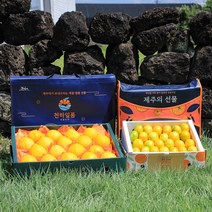 명품패키지 천하일품 과일 명절 선물세트 황금향, 1박스, 01.황금향 선물세트 2kg 중소과(8-12과)