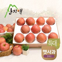 [2022햇사과] 산지애 알뜰 못난이사과(대과) 4kg 2box
