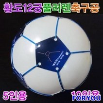 ForU531 황도 궁풀러렌축구공 5인용 풀러렌축구공 충구공 과학교구 플러렌 만들기놀이