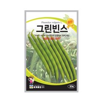그린빈스 30립 채두씨앗 넝쿨성 채두 극조생종 다수확, 단품