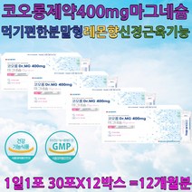 레몬맛 분말 마그네슘 GMP 1일1포 산화마그네슘 코오롱제약 분말스틱 30대 40대 50대 60대 영양제 추천