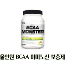 BUP BCAA몬스터 레몬맛 아미노산 헬스보충제, 500g, 2개