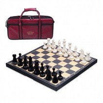 기타 명인대형 교재용체스 M-480