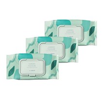 더샘 가든 플레져 시카 클렌징 티슈 100매입X3개