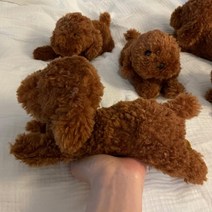 무릎인형★강아지 토이푸들 SS사이즈(히자완꼬), 옵션선택:본품