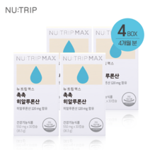 뉴트립 촉촉 히알루론산 4박스 4개월 국내산 여성 건강 이너 수분 뷰티 추천 코스맥스