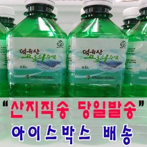 (아이스박스 배송) 첫물 달콤한 청정 덕유산 100% 고로쇠수액 당일발송, 500ml, 10개