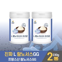 L 람노서스 GG 유산균 분말 3세대유산균 가루 락터바실러스 남노서스 프로바이오스틱 프리 바이오텍스 파우더 먹는법 남성 여성, 2개, 230g