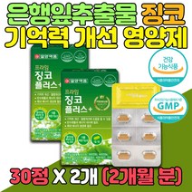 은행잎 추출물 징코 기억력 개선 영양제 비타민 B 2개 식약처인증 B1 B2 B6 셀레늄 철 나이아신 판토텐산 아연 망간 구리 코큐텐 코엔자임 COQ10 면역 기능성 세포 보호