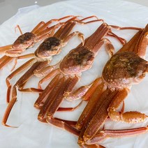 일품대게 중자 400-450g (1마리 기준)