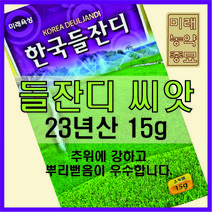 미래농약종묘 [23년산 국내생산] 미래종묘 한국 들잔디 15g- 착근력 우수 산소용 골프장용 전원용, 1개