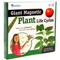 러닝리소스 특대형 자석 식물의 한살이 모형 Giant Magnetic Plant Life Cycle