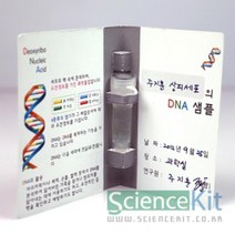 DNA추출2-동물세포(동물세포DNA추출)(4인용) RKT, 1, 1