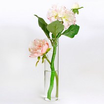 포스아트 벽걸이 유리화병 CN 인테리어 수경재배 꽃병 화분, 롱튜브
