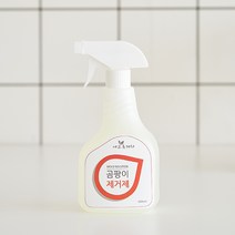 에코후레쉬 곰팡이 제거제 천장 장판 벽지 바닥 창틀 베란다 곰팡이제거, 2개, 500ml