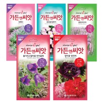 야생화씨앗 수입꽃 100선 가든엔씨앗 톱풀파스텔 배초향 알케밀라 제비고깔 수레국화 제라늄, 배초향(자이언트 히솝)
