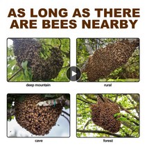 양봉자재 유인하기 쉬운 꿀벌 세트 양봉 떼 미끼 쉽게 수집 목수 도구 60ml