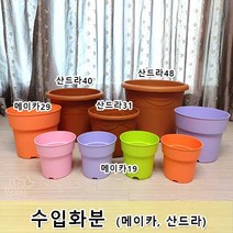 네덜란드 수입 플라스틱 화분 3.2L - 45L대형화분 파스텔톤화분 야외용 식물식재, 메이카29(12L), 살구