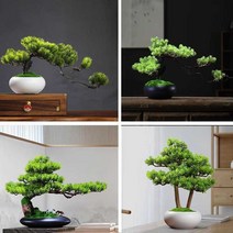 미니 소나무 분재 화분 인테리어 다육이 선물 취미용, 화이트 팟 - 작은 소나무 분재