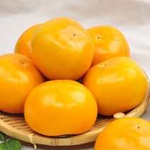 [GAP] 경남 창원 강호등님의 단감 5kg 10kg 가정용 정품, 정품 5kg(30과)/중과