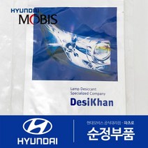현대모비스 순정 전조등 헤드라이트 습기제거제 결로제거 모이스처 업소번트, 35g