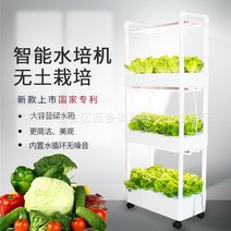 가정용스마트팜 수경재배기 야채키우기 유리온실 발코니 야채 선반 무토 재배 장비 가족 딸기 자동 수경 다층 입체, [04]  4중 물 순환, [01] 작은