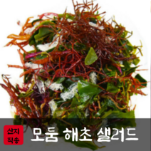 완도 해초 꼬시래기 염장 샐러드 건조 국수 모듬 1.5kg, 해초모듬