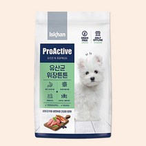 이즈칸 독 프로액티브 유산균 위장튼튼 4.6kg, 단품